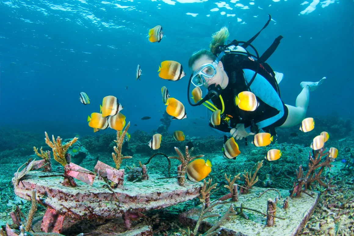 scuba diving in nusa penida