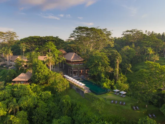 ubud nature